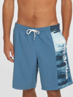 O'Neill Retro 19 Swim Shorts - Blue
